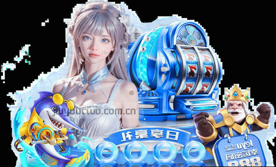 精美卡片展示，内容直观